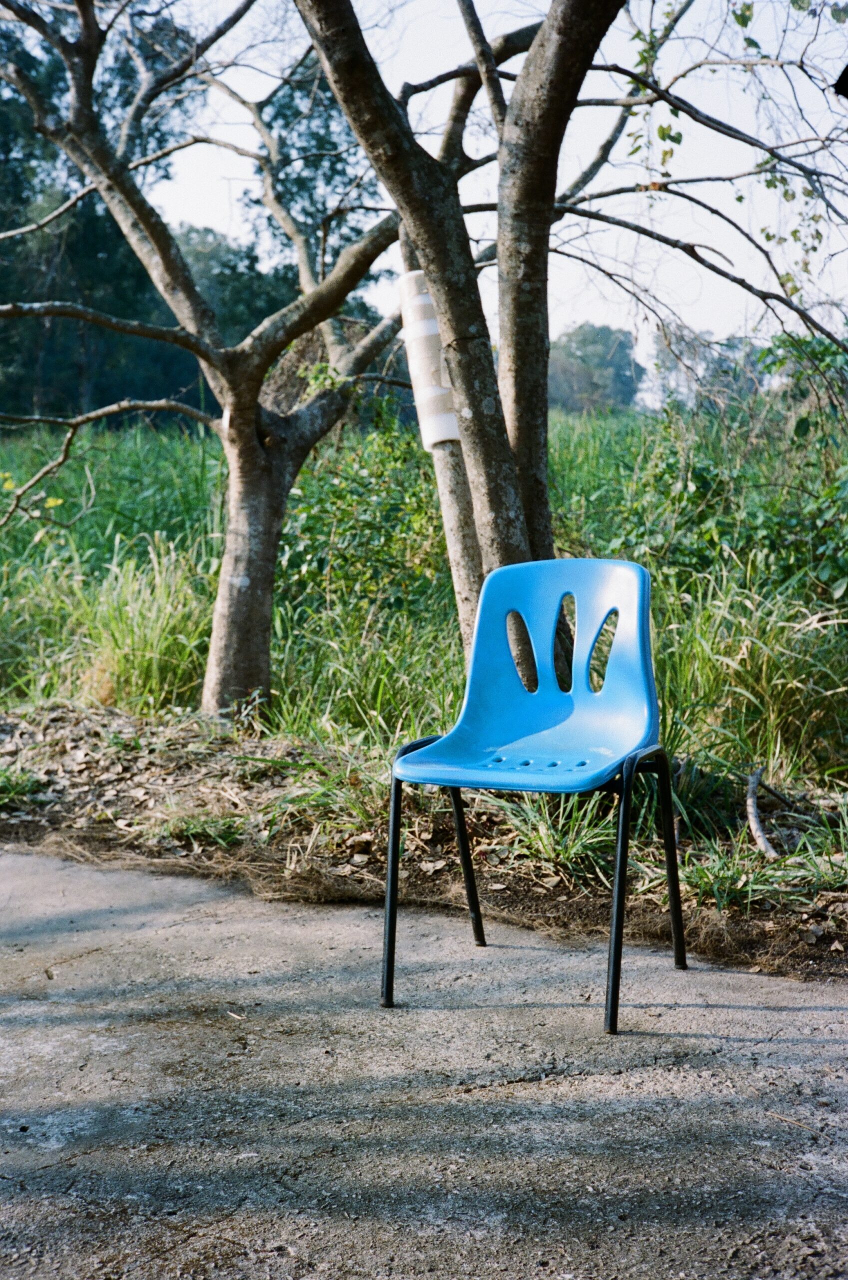 Roxy-Lee-Artist-Hong Kong-Chairs