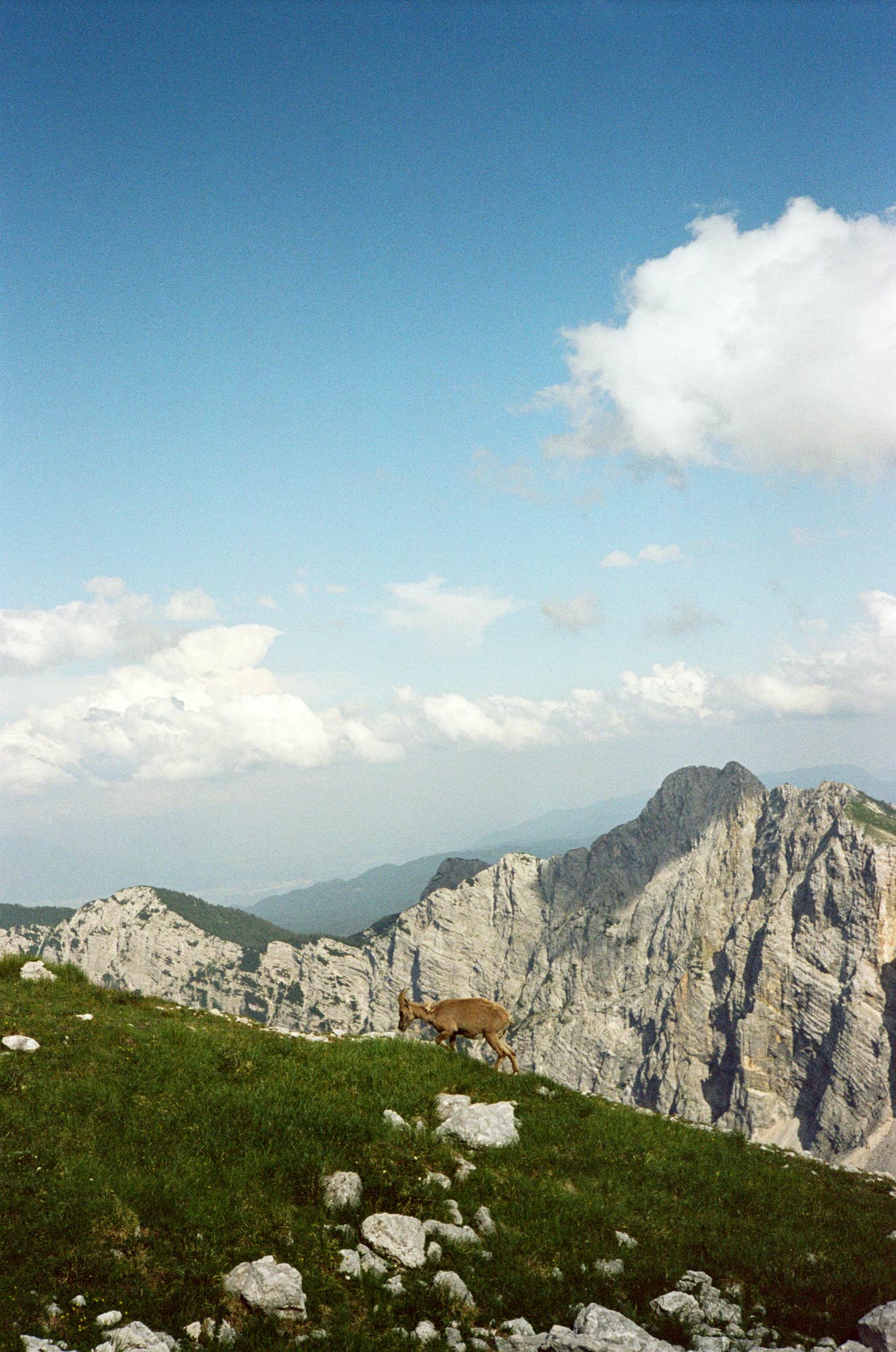 Roxy-Lee-Artist-In-the-mountain-2